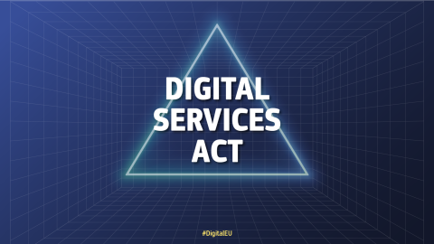 The Digital Services Act: Scope, Obligations and Practical Implications for Micro and Small Enterprises